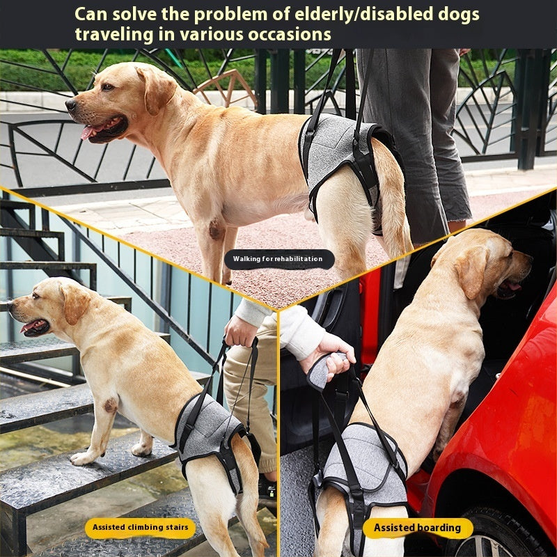 Support Harness for Senior & Injured Dogs – Easy Walking Aid