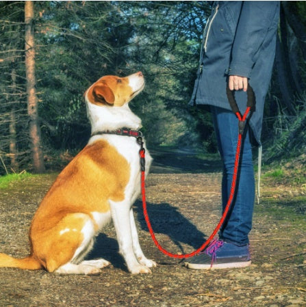 Reflective Dog Leash – Strong, Durable & Safe for Daily Walks