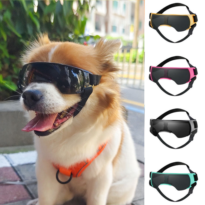 UV Protection Dog Goggles – Safe Outdoor Eye Protection
