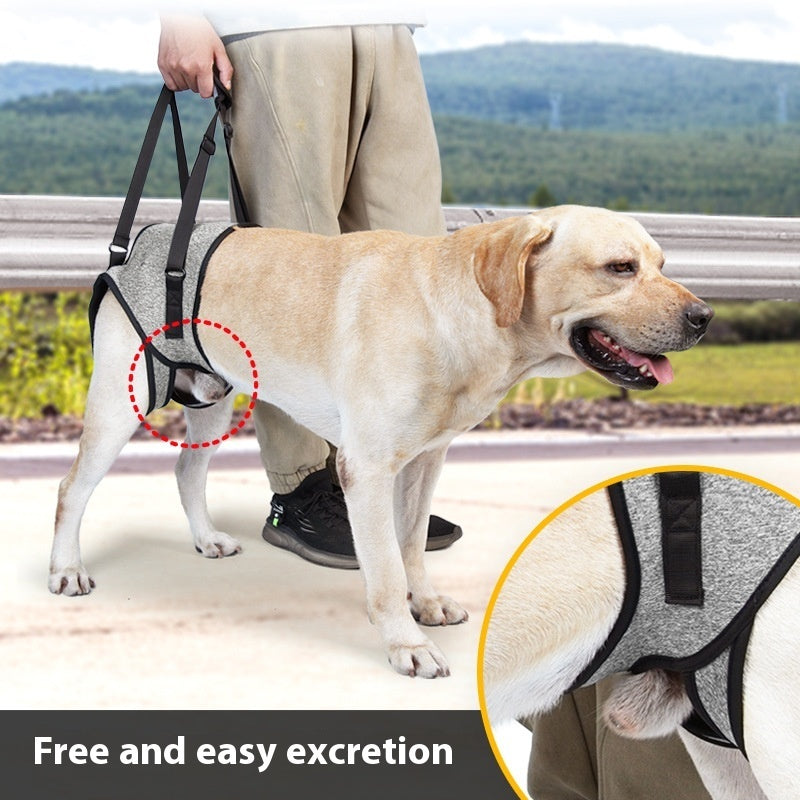 Support Harness for Senior & Injured Dogs – Easy Walking Aid