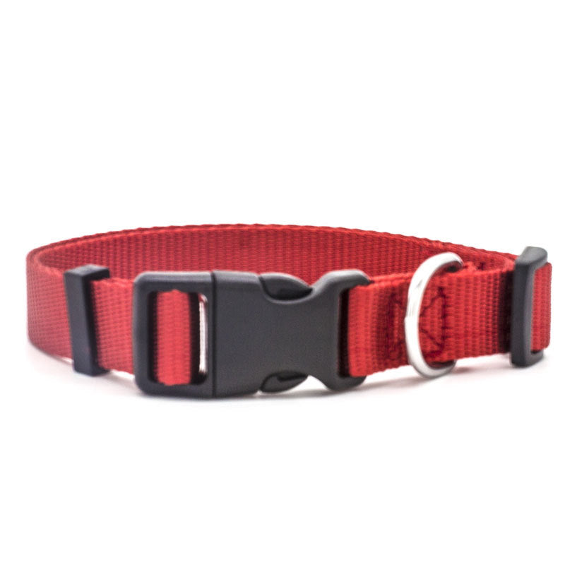 Adjustable Dog Collar – Comfortable, Durable & Perfect for Daily Use