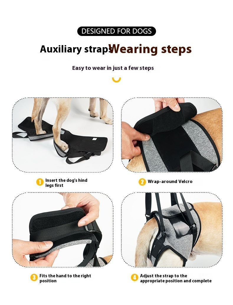 Support Harness for Senior & Injured Dogs – Easy Walking Aid